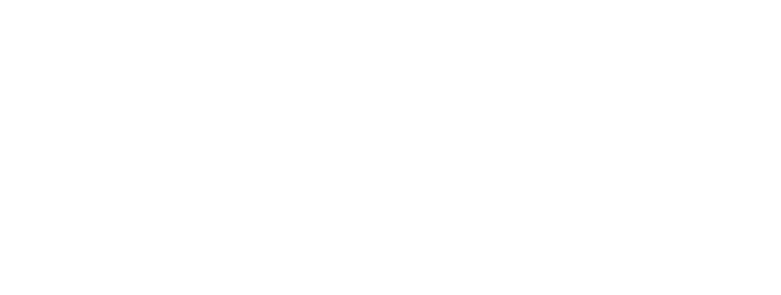 gnp logo